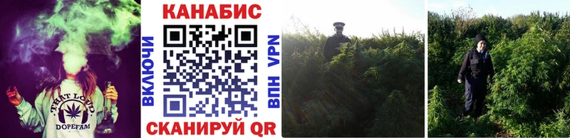 Названия наркотиков Заволжье Cocaine Псилоцибиновые грибы Марихуана МЕФ A PVP АМФЕТАМИН