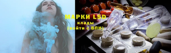 амф Горняк