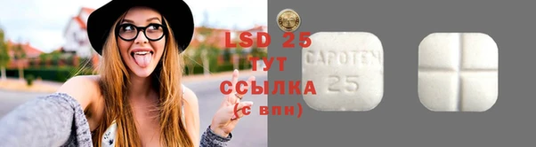 амф Горняк