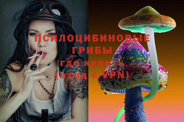 амф Горняк