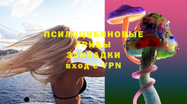 бошки Горно-Алтайск