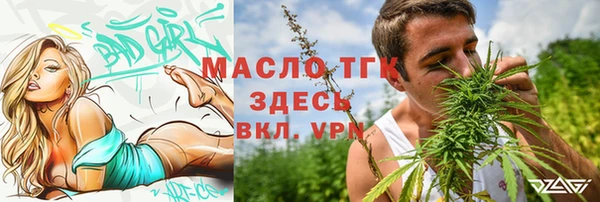амф Горняк