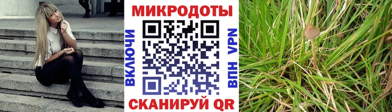 Галлюциногенные грибы MAGIC MUSHROOMS  Заволжье 